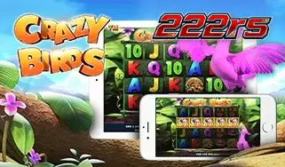 Karakter burung lucu dalam permainan slot Crazy Birds